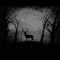 FeyDeer