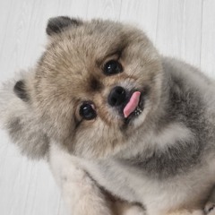 송현수