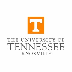 University of Tennessee Work-Life Sounding Board