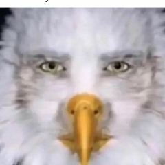 duckeaterb3n