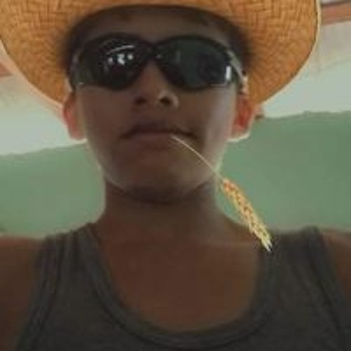 Luis Ramirez’s avatar