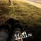 allyysitapp