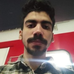 احمد الألفي