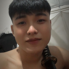 Lê Trí Mạnh