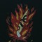 Minos Myrrha 2