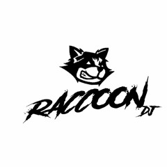 RACCOON DJ
