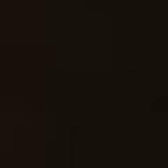 A1