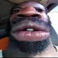 Terrorister