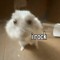magneto mouse