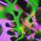 𝐒 𝐀 𝐆 𝐀 𝐑 𝐘