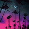 User 540719020