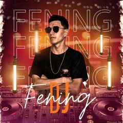 Feningdj