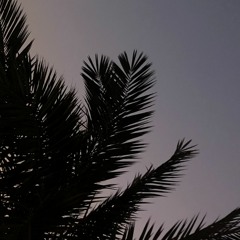 ma.alsh