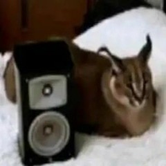 Dj d1tree1n