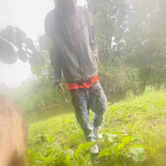 iphone.r2