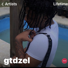 GTDZEL