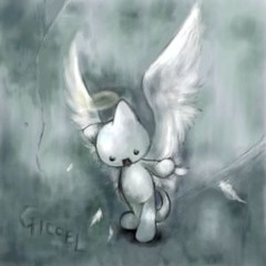 когда все стало доступно