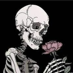 𓆩♡𓆪