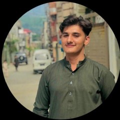 ZAIN UL ABIDEEN