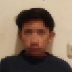 Dipihohe