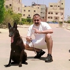محمد ابو هيما