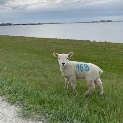 351