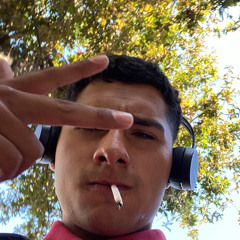 Brown.Vboy