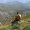 Mostafa Salehi