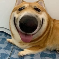 Son 1233