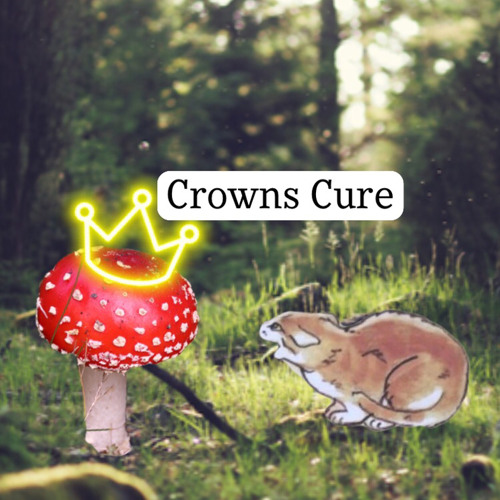 Crowns Cure’s avatar