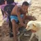 Ahmed Daoud