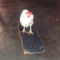 User 921518126