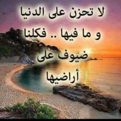Yousef Mohamed Khallaf