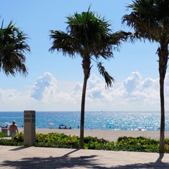 Sean D (WillRap4Food)