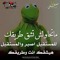 Mohamed A Alabid