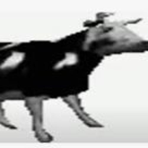Stream cow meme meme music | Listen to songs, albums, playlists for ...