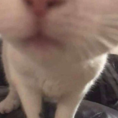 ..