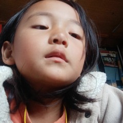 Sherub P Pema