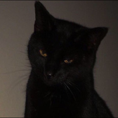 2904