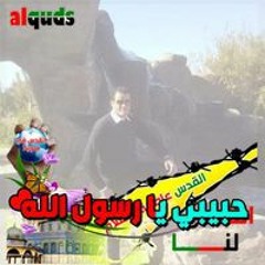 محمود عوض
