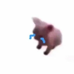 🦴 🎀Coc0nut!🎀 🦴
