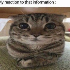 weirdfany