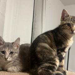 Granny&Grandpa👵👴