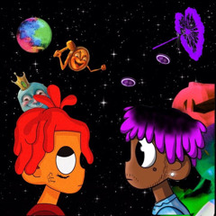LILTRIPPIEVERT1614