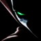 spawn.