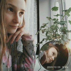 ann.zay