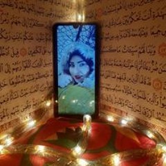 Nareman M Elhadidy
