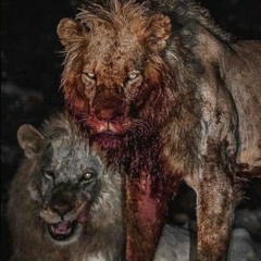 Rafael Chaka Galvan Jr.