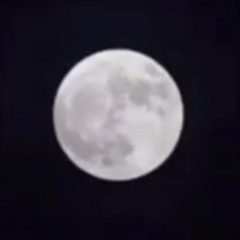 ♡ .