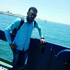 محمد السيد ابو حوسه